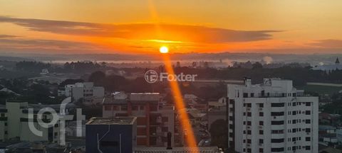 Image 17 - 867969
