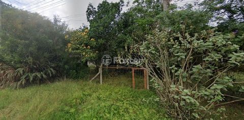 Image 2 - 868214