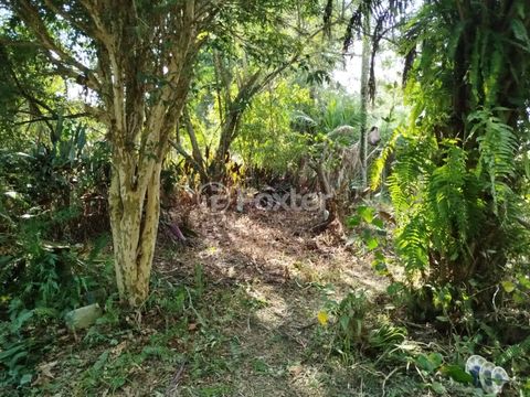 Image 6 - 868214