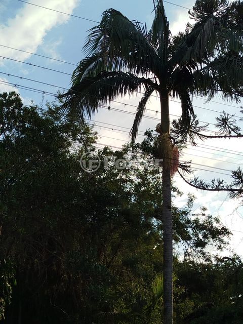 Image 9 - 868214