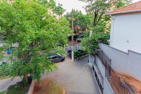 Image 7 - 868479