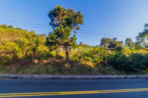 Image 1 - 868641
