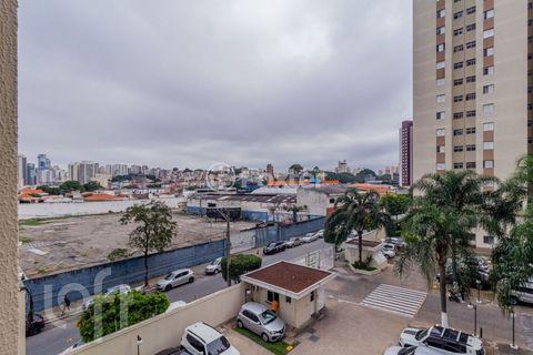 Image 11 - 868684