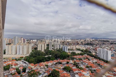 Image 8 - 868711