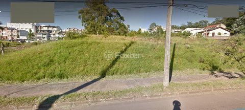 Image 4 - 868764