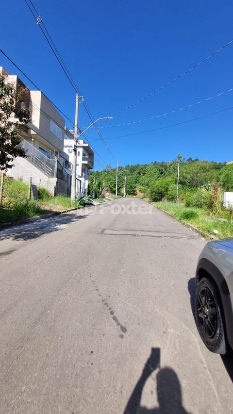Image 5 - 868782
