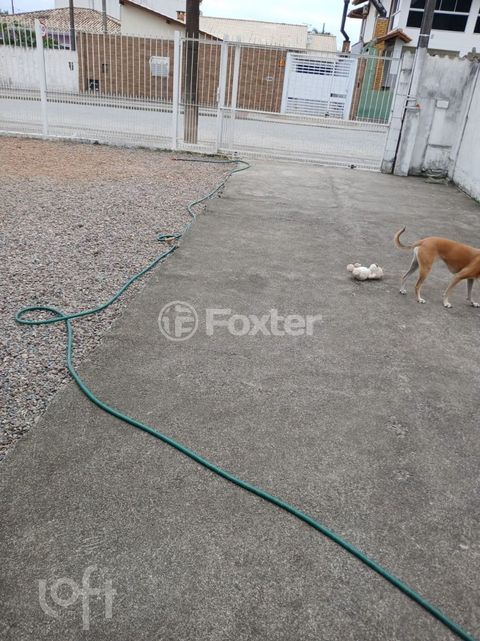 Image 7 - 868995