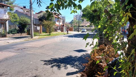 Image 7 - 869001