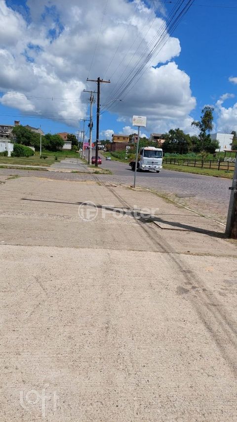 Image 9 - 869118