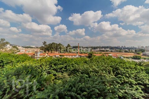 Image 12 - 869181