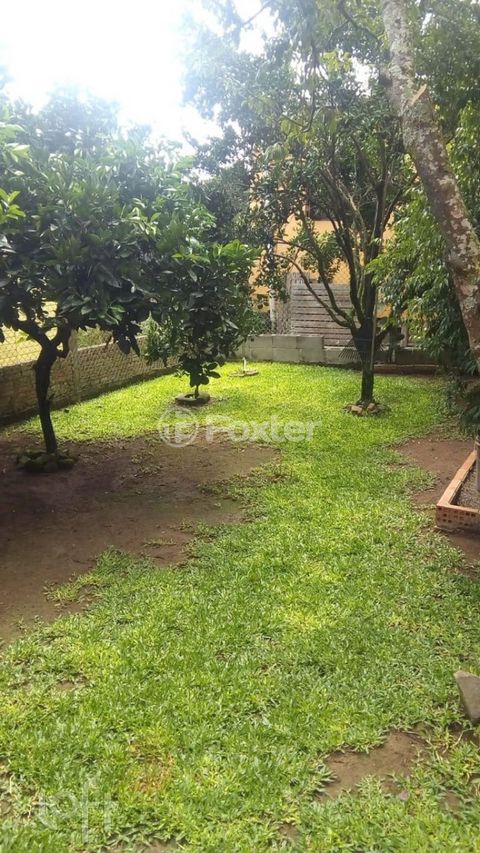 Image 6 - 869226
