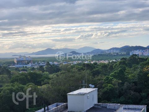 Image 9 - 869409