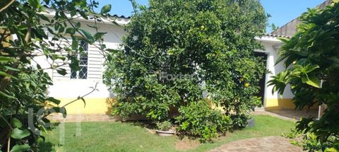Image 8 - 869591