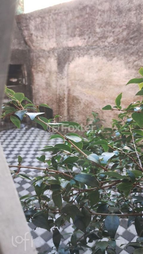 Image 4 - 869778