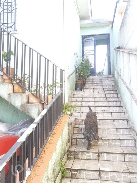 Image 3 - 869784