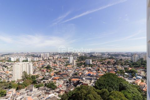 Image 7 - 869852