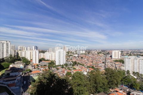 Image 5 - 869852