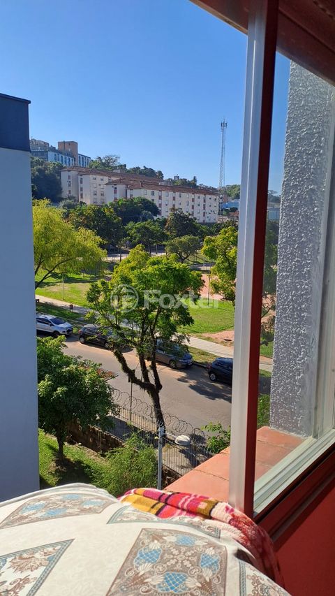Image 7 - 869950