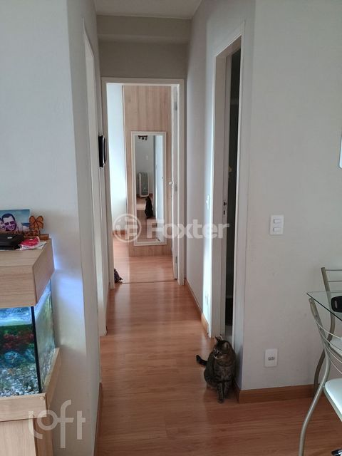 Image 2 - 869975