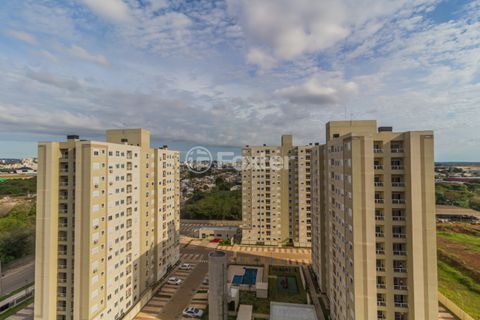 Image 9 - 869999