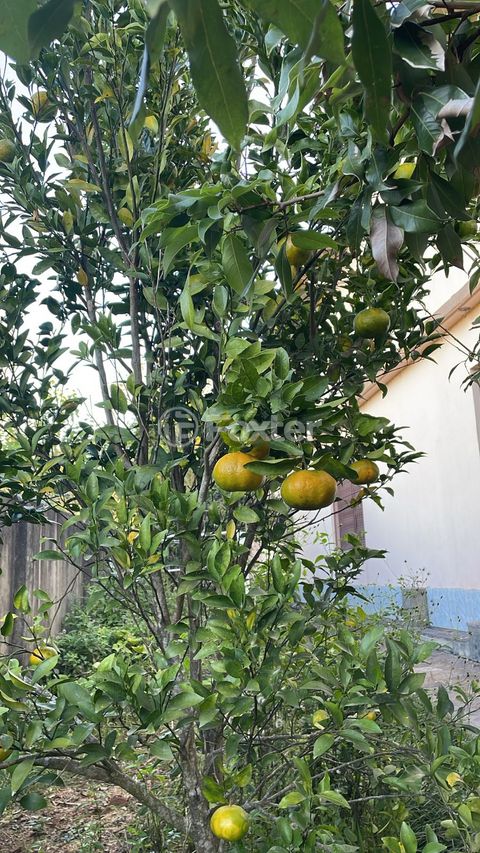 Image 7 - 870001