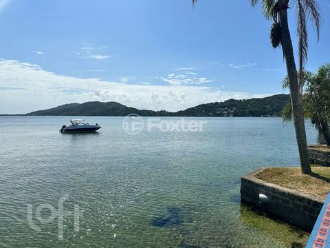 Image 8 - 870098