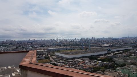 Image 6 - 870117