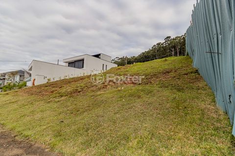 Image 6 - 870193