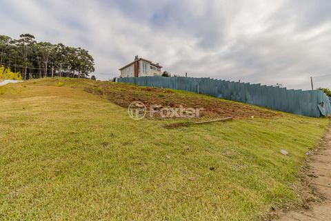 Image 8 - 870193