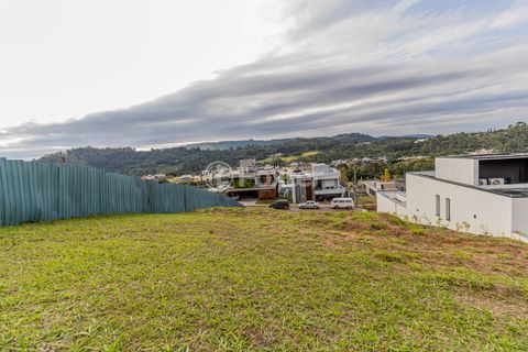 Image 10 - 870193