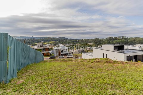 Image 11 - 870193