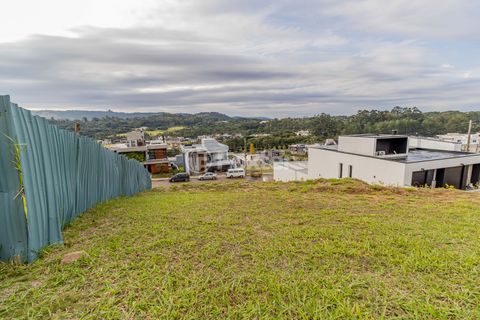 Image 12 - 870193