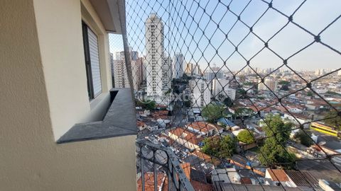 Image 5 - 870224
