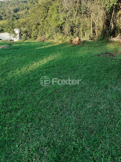 Image 1 - 870333