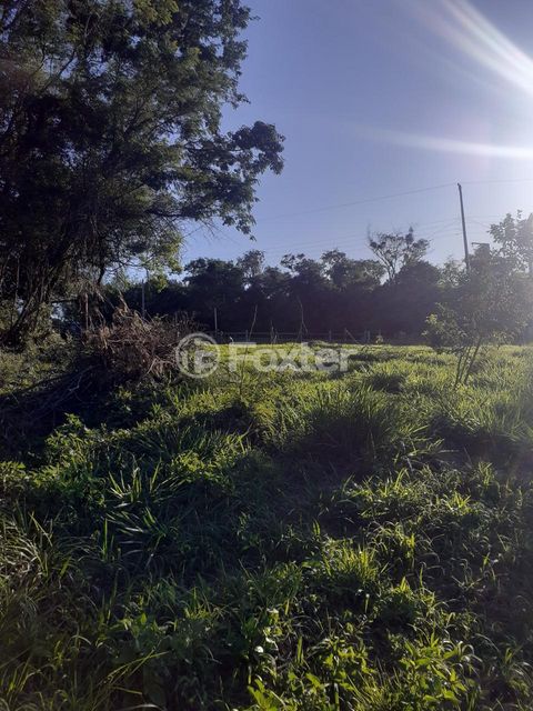 Image 3 - 870333