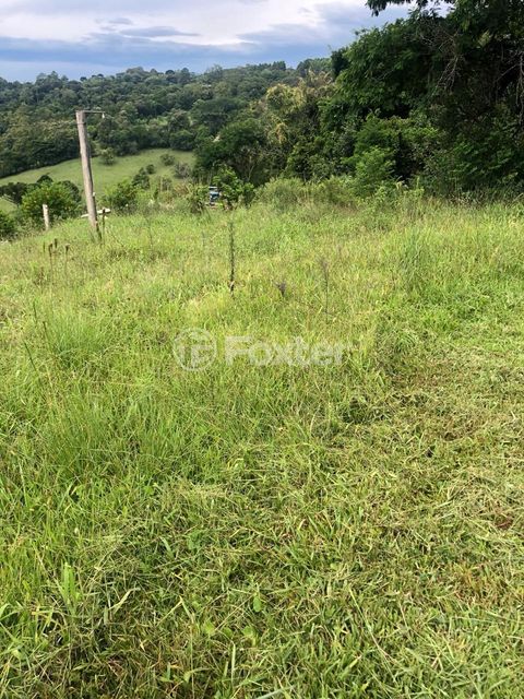 Image 2 - 870333