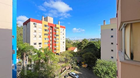 Image 8 - 870419