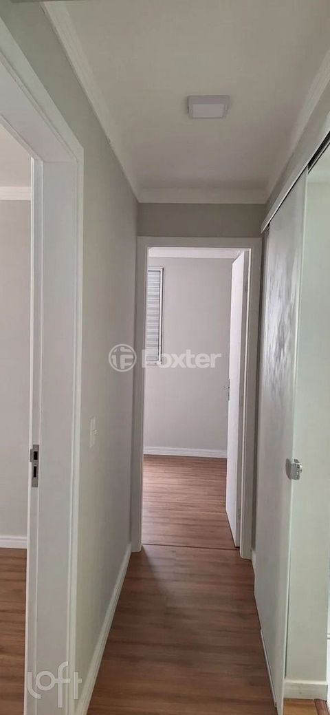 Image 8 - 870436