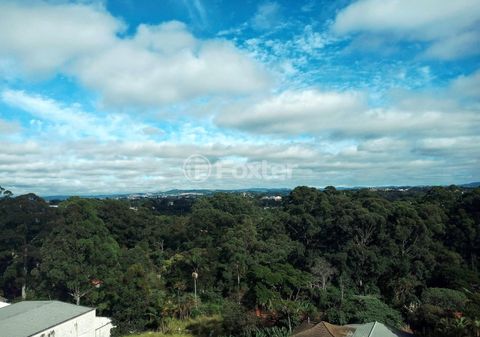 Image 9 - 870858