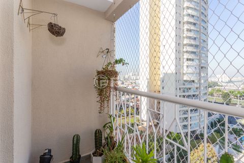 Image 8 - 870995