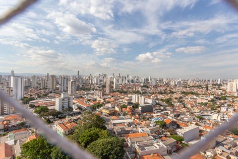 Image 18 - 871013