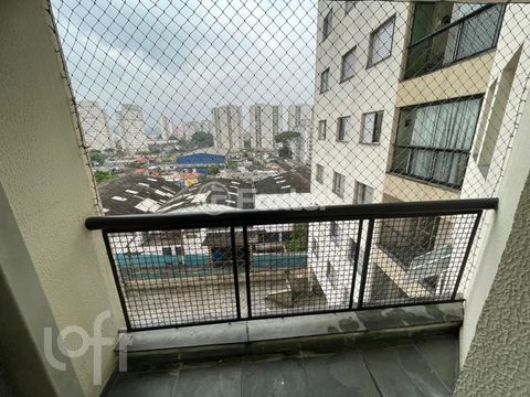 Image 8 - 871427