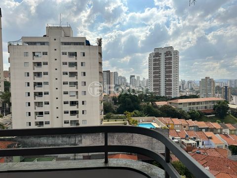 Image 6 - 871546