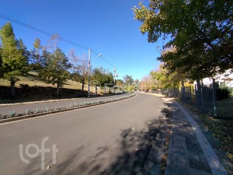 Image 10 - 871564