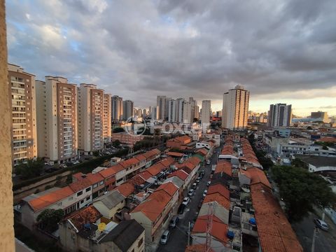 Image 12 - 871647