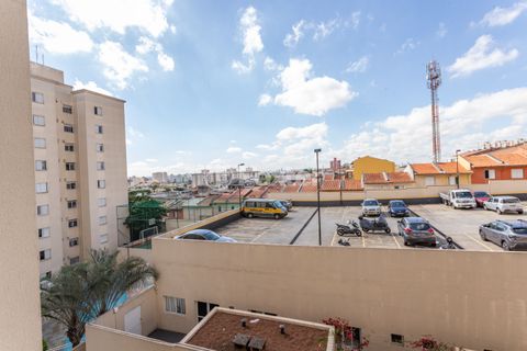 Image 7 - 872074