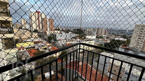 Image 8 - 872238