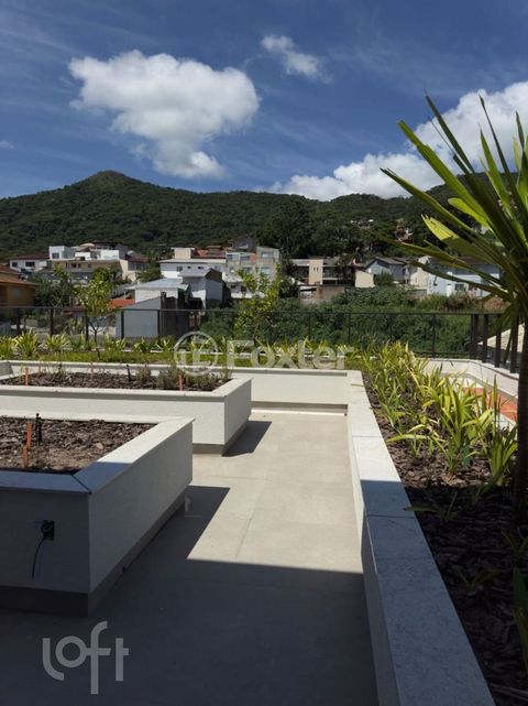 Image 4 - 872430