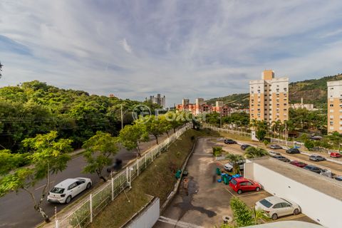 Image 15 - 872469