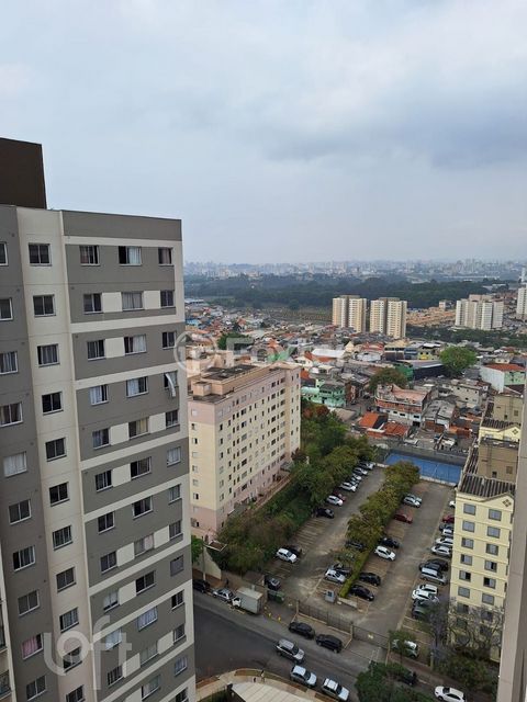 Image 4 - 872488